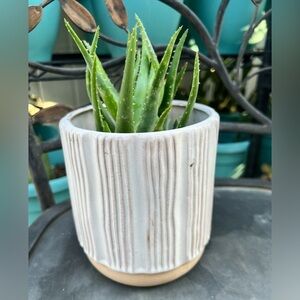 Ashland Beige and Cream Color Planter